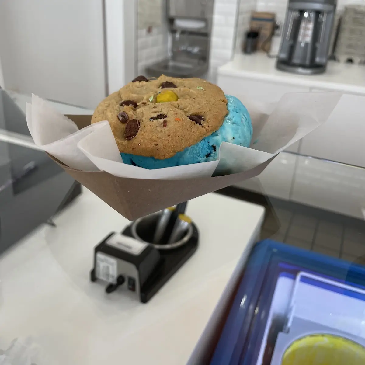 Blueberry Muffin