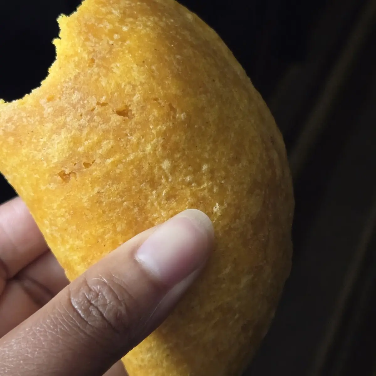 Chicken Empanada