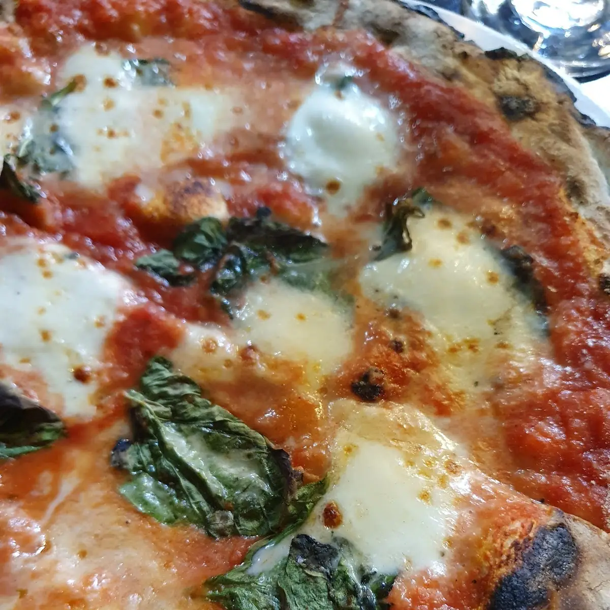 Pizza Margherita
