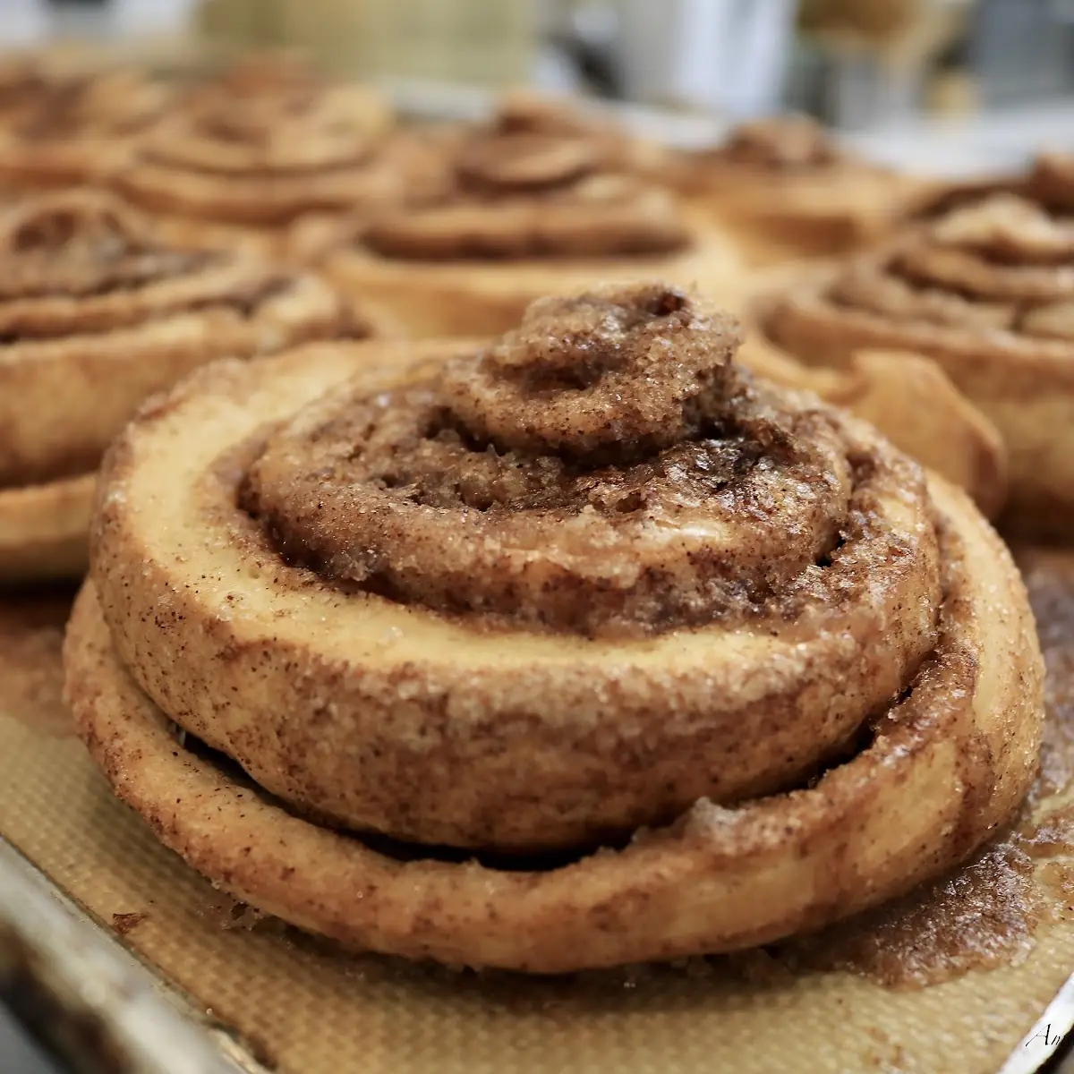 Cinnamon Roll