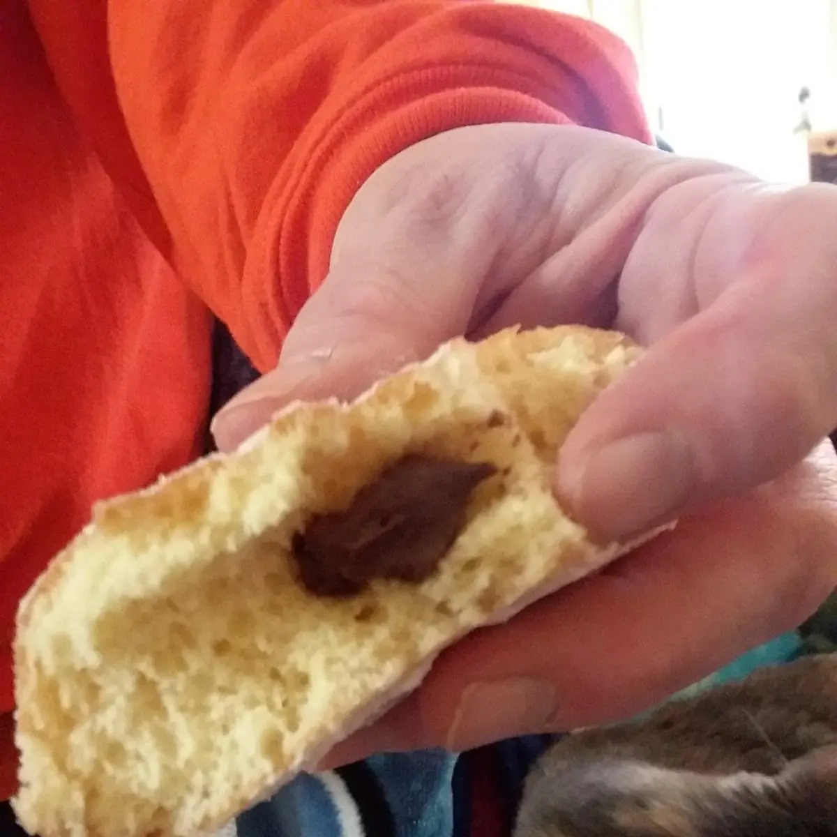 Sealed Crustless Sandwich