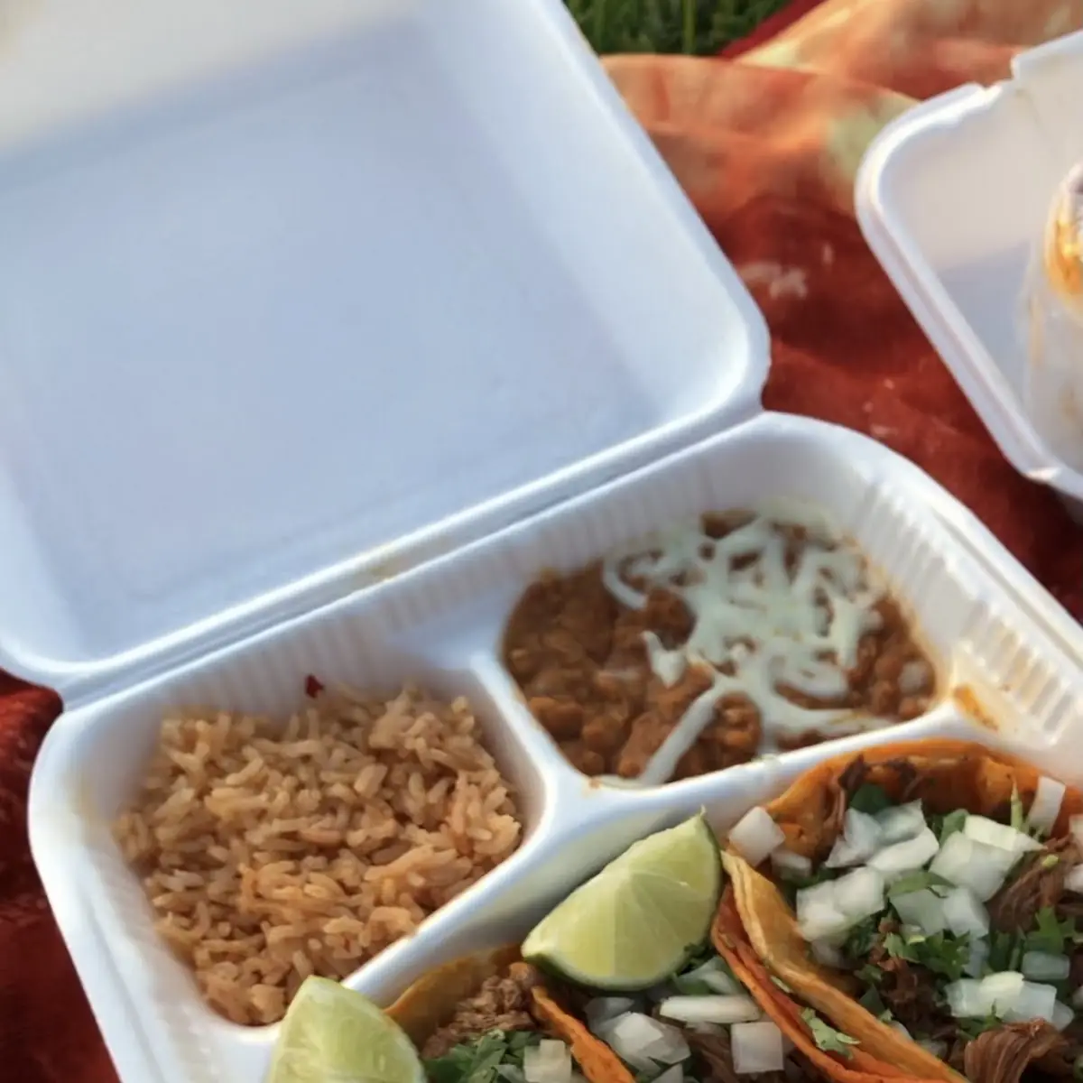 Birria Tacos Plate