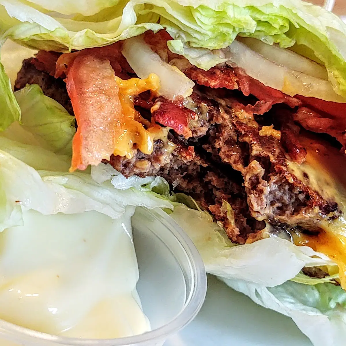 Double Bacon Cheeseburger Hold the Bun