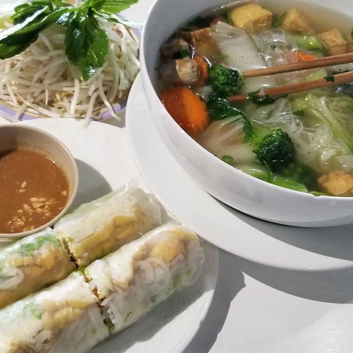 Tofu Spring Rolls and Veggie Pho