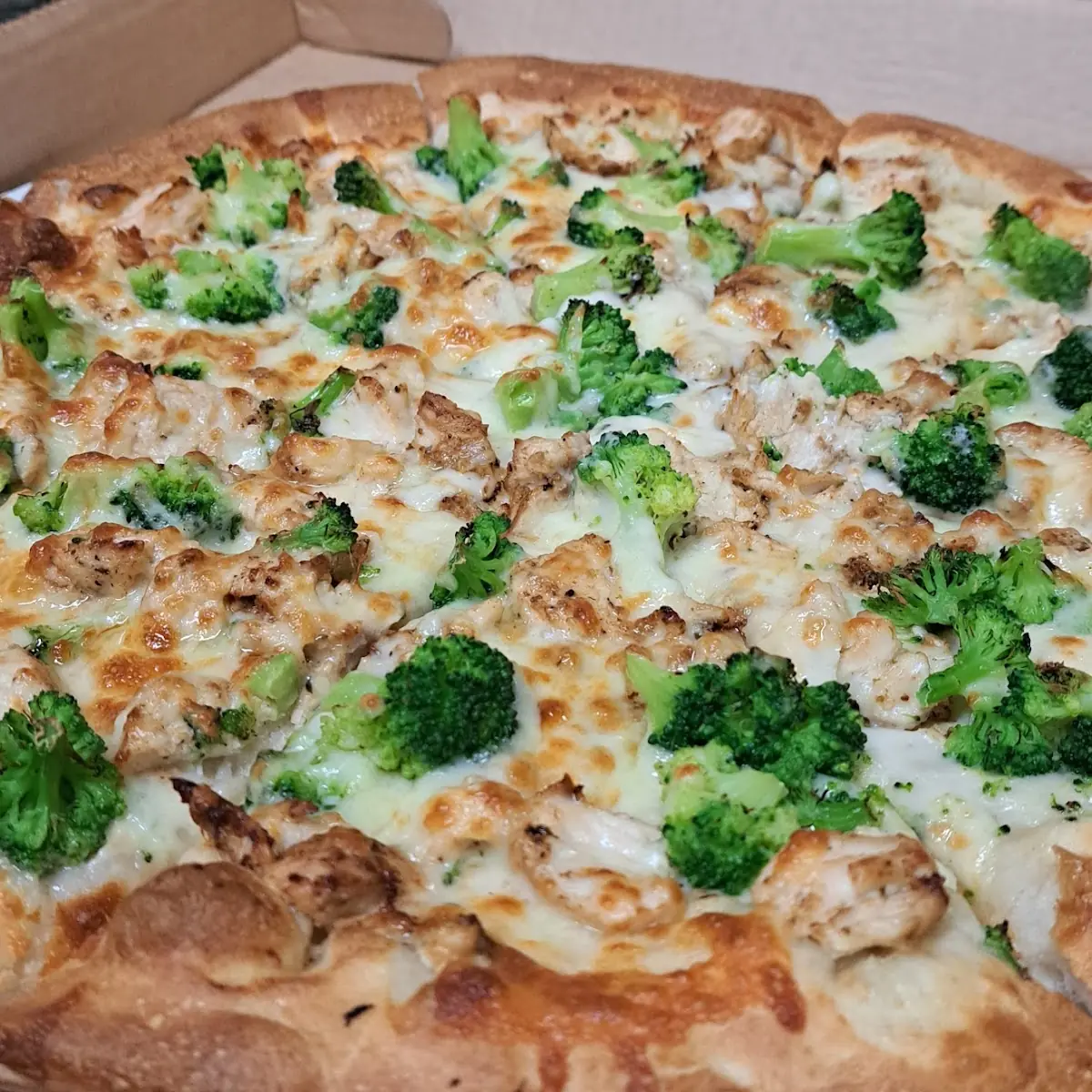 Chicken Broccoli Alfredo