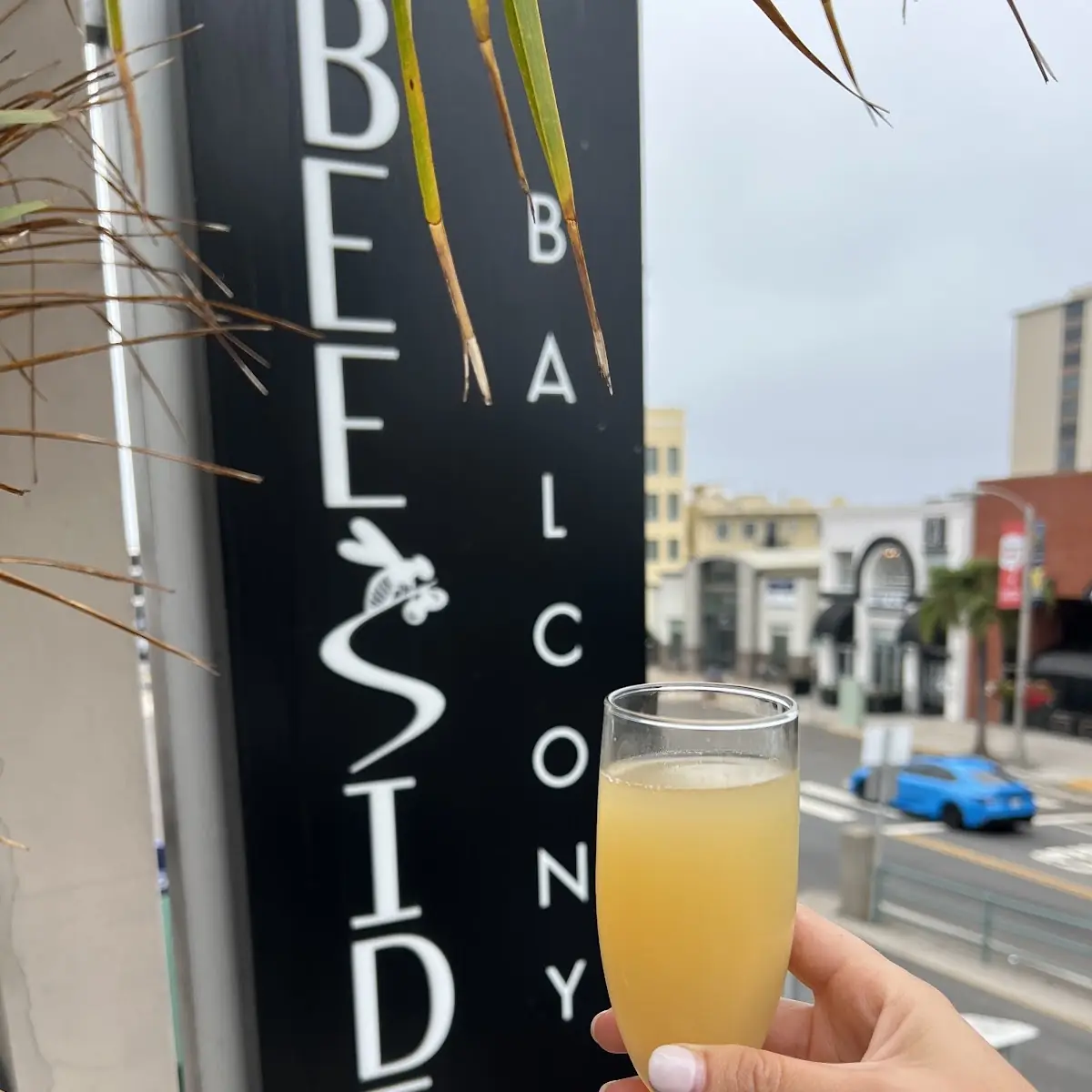 Bottomless Mimosa