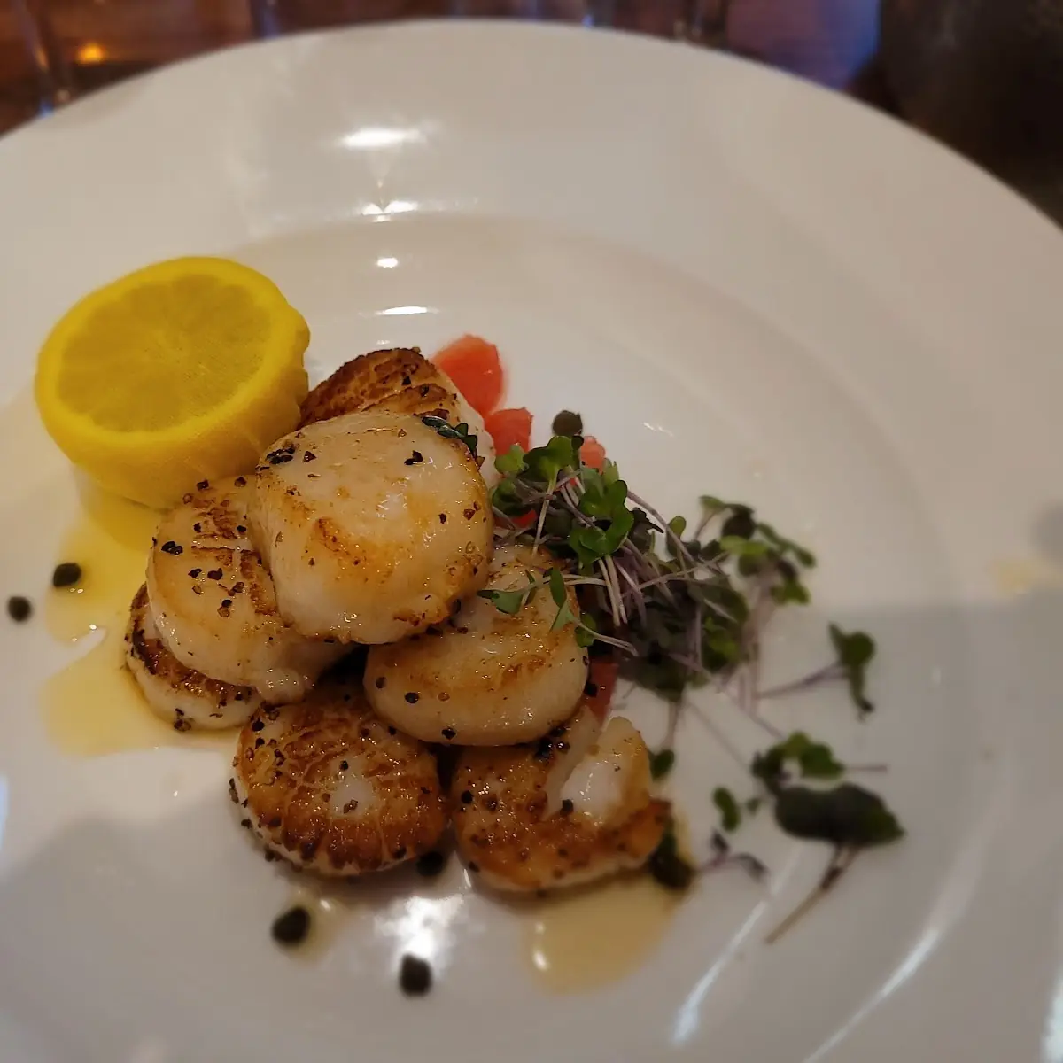 Sea Scallops