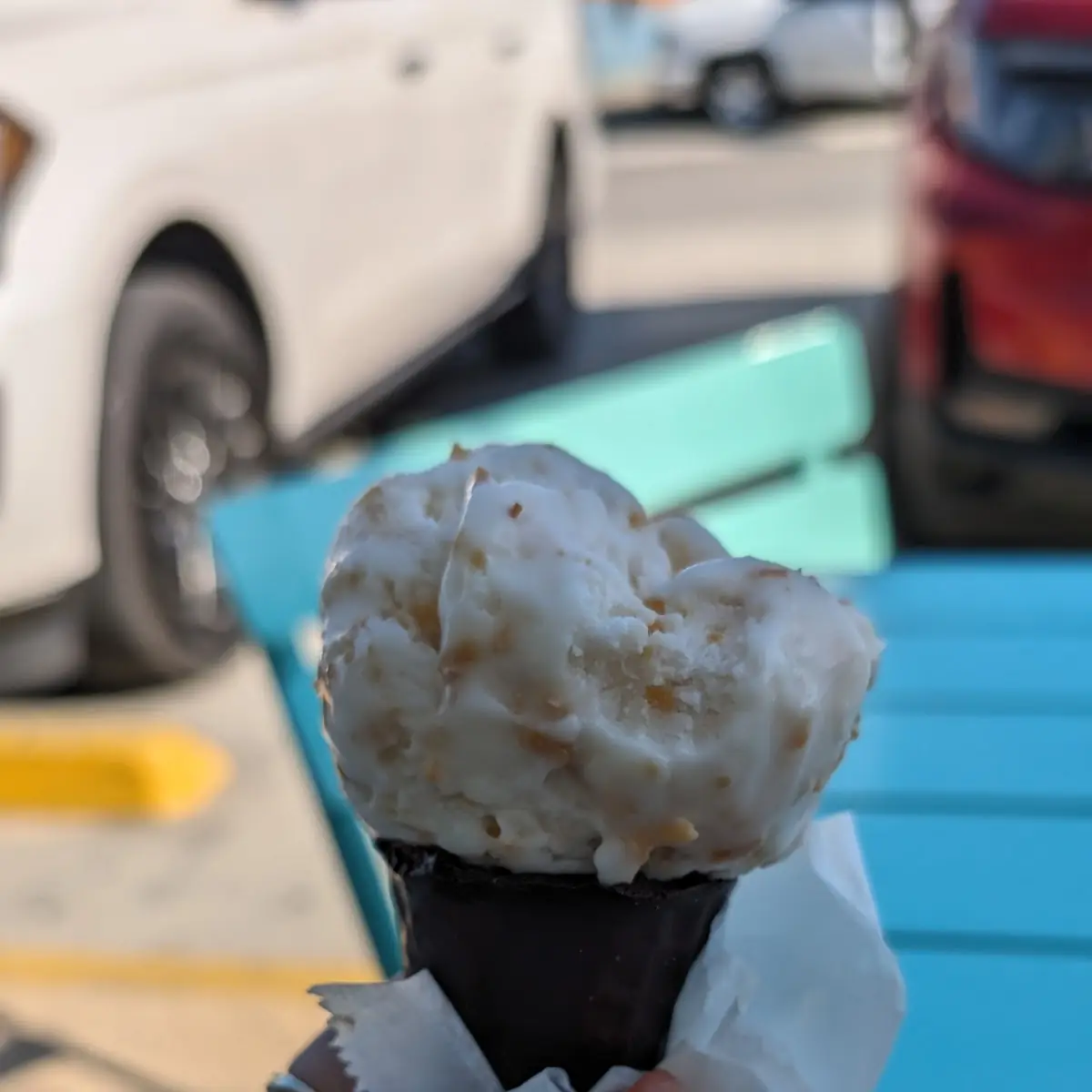 Toasted Coconut Ice Cream