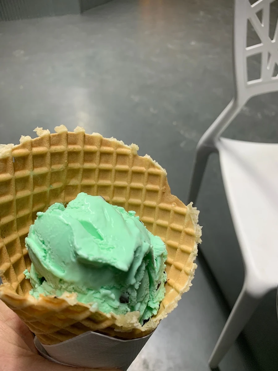 Mint Chocolate Chip Ice Cream
