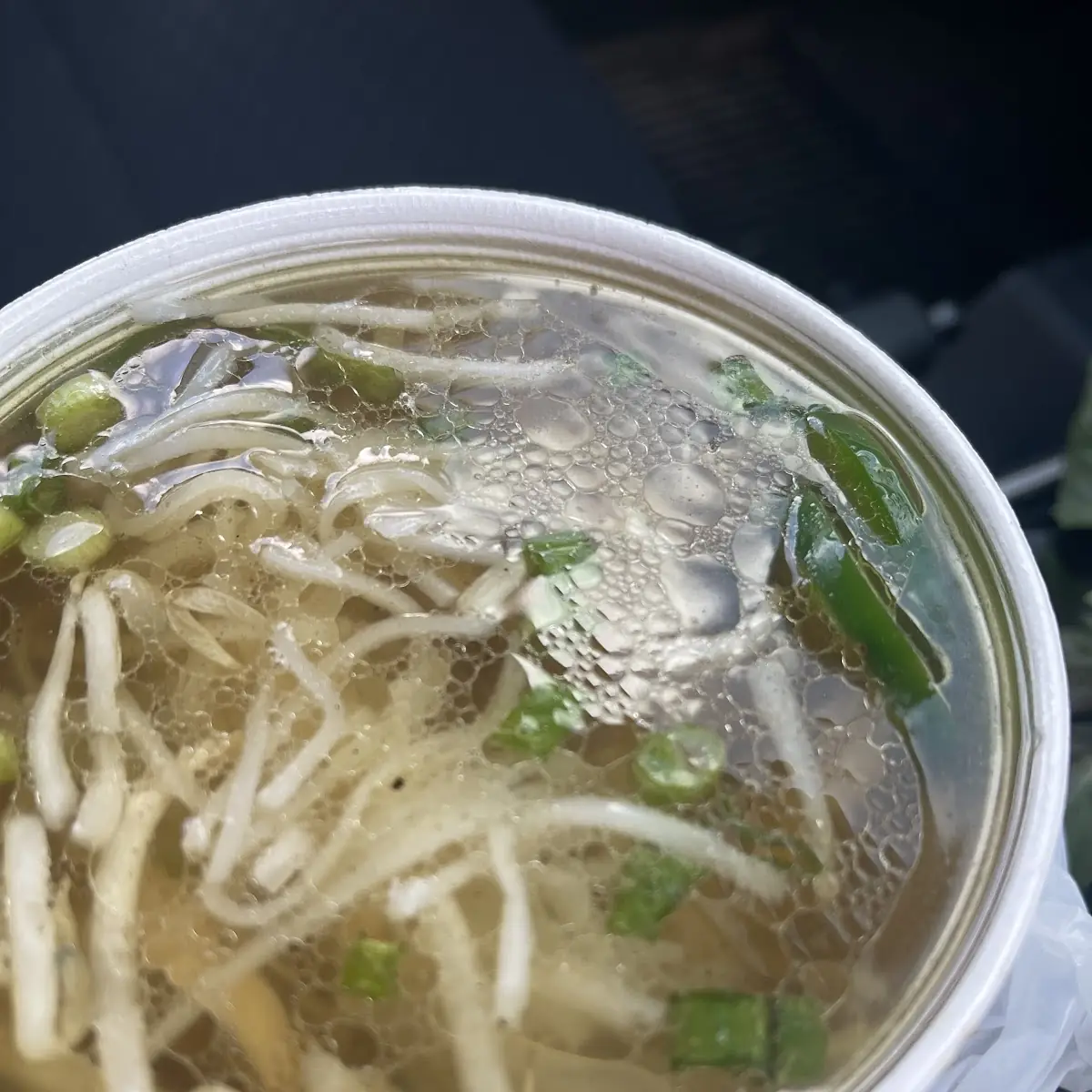 Bamboo Shoot Noodle Soup