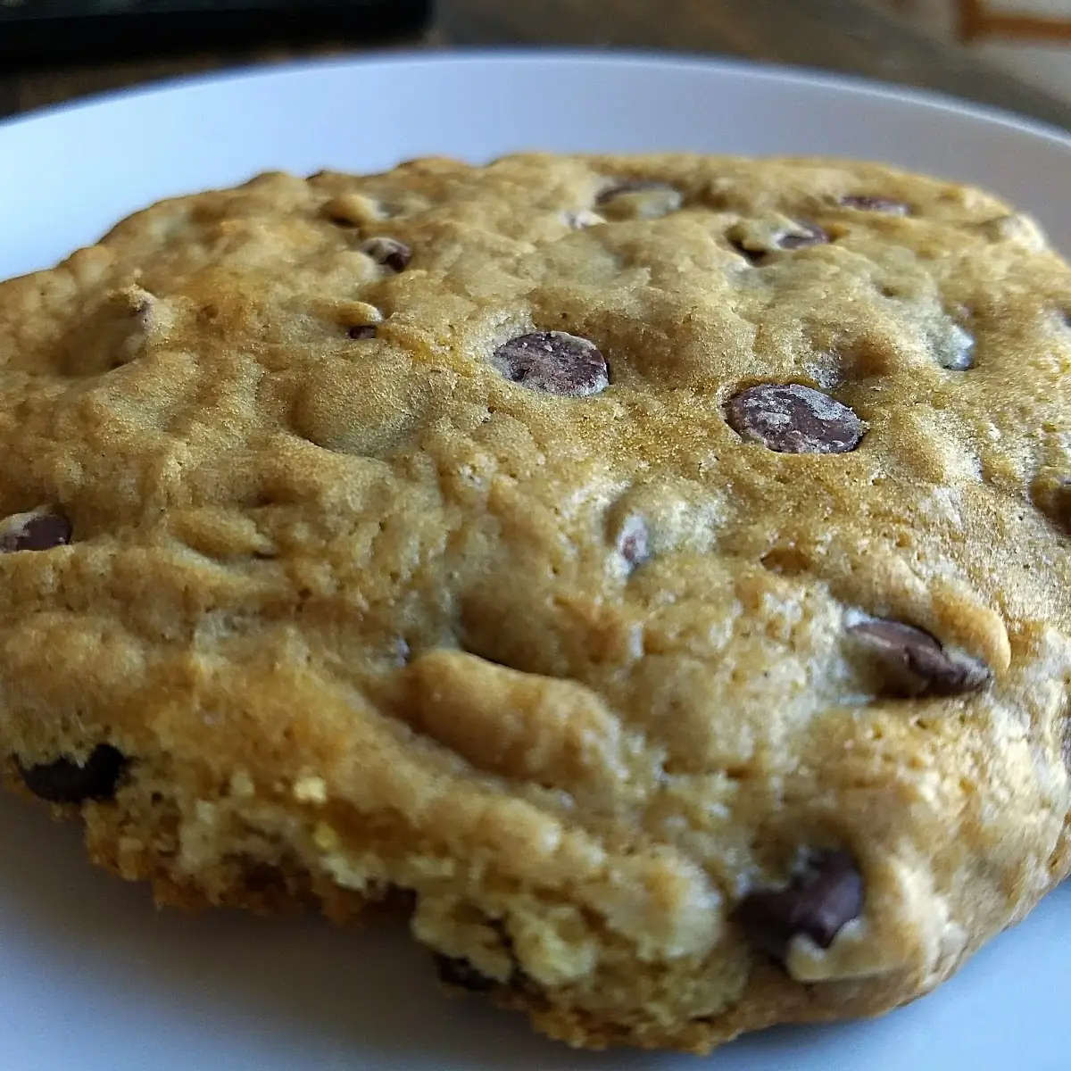 Chocolate Chip Cookie