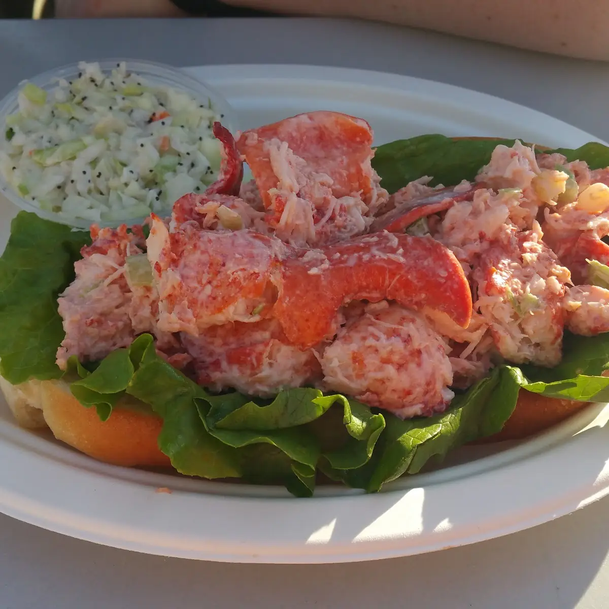 Lobster Roll