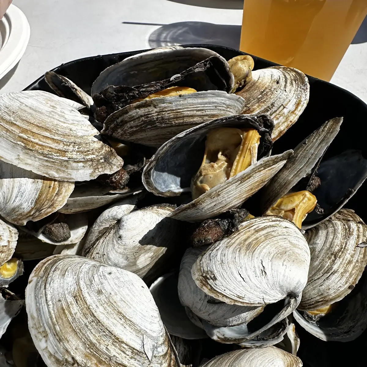Steamed Clams
