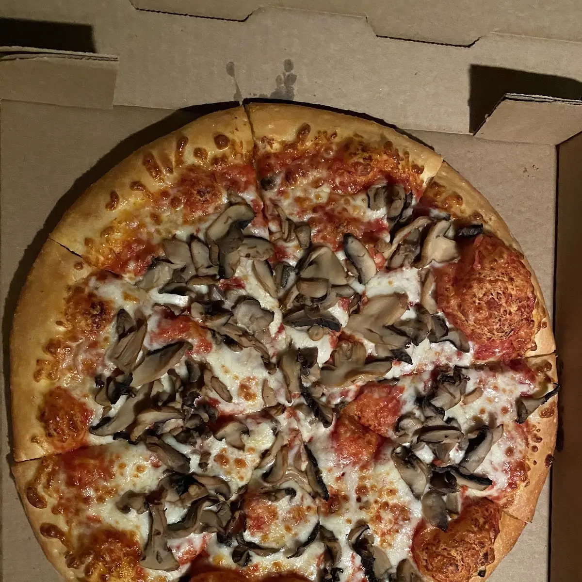 Mushroom Pizza