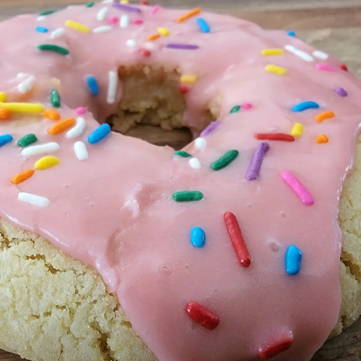 Sprinkled Donut