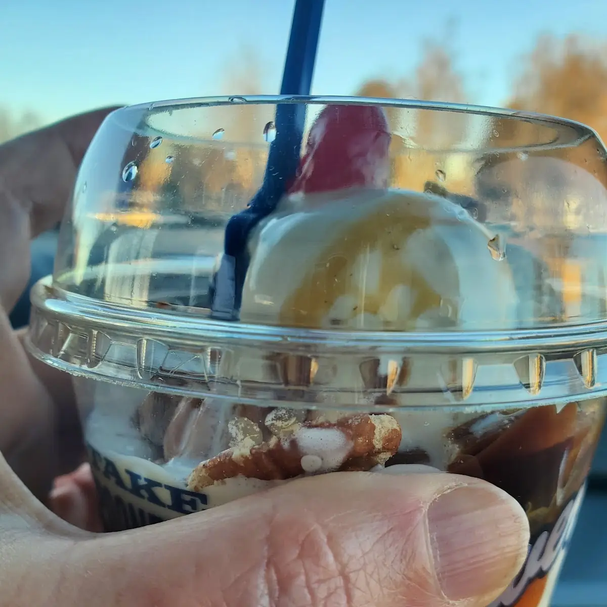 Turtle Sundae