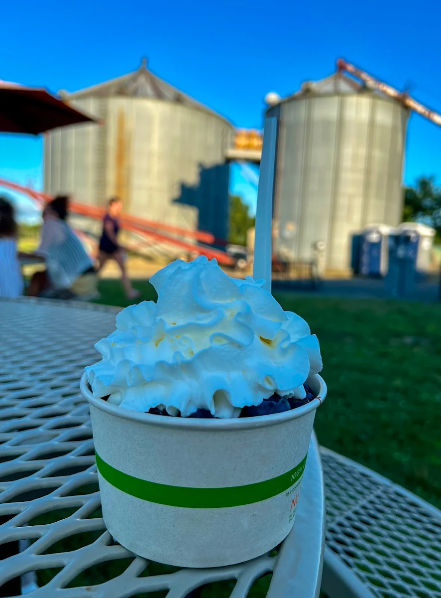 Blueberry Sundae