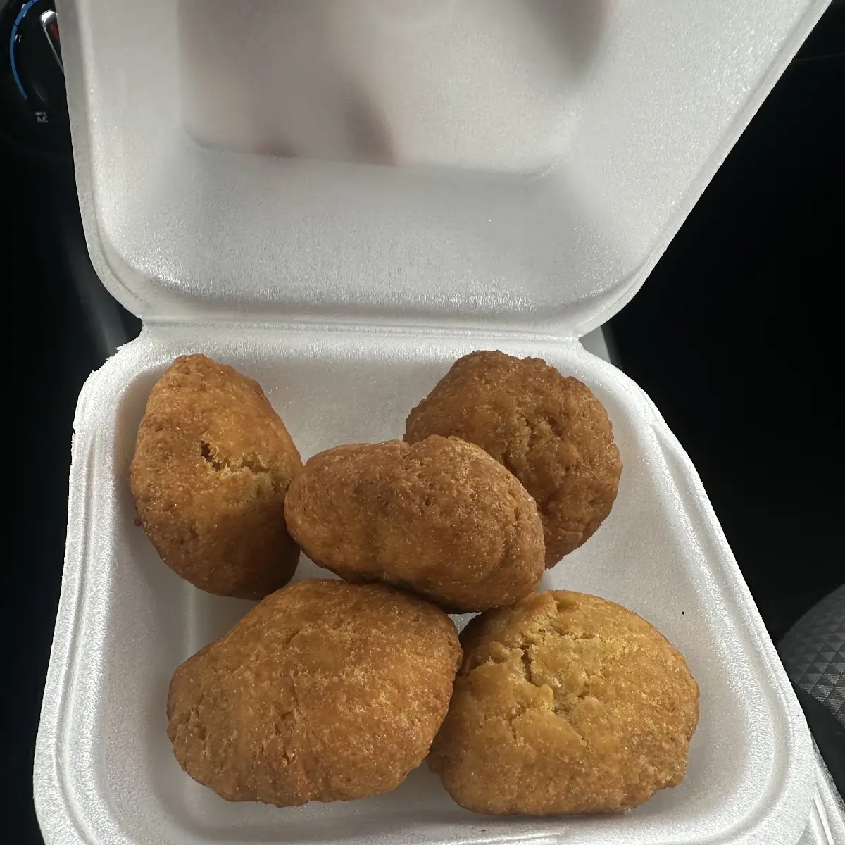 Fried Dumplings