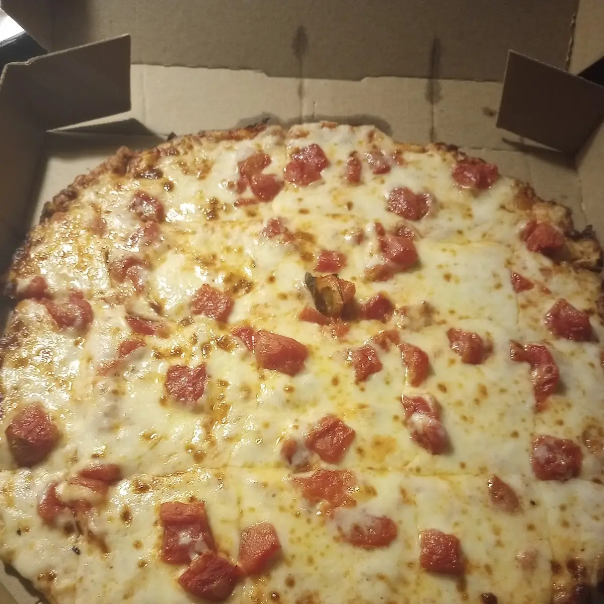 Thin Crust Pizza with Diced Tomatoes & Provolone Cheese