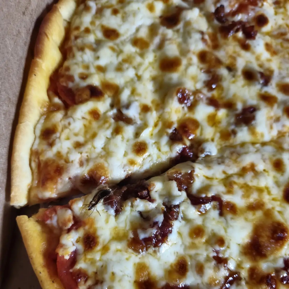 Roache Pizza