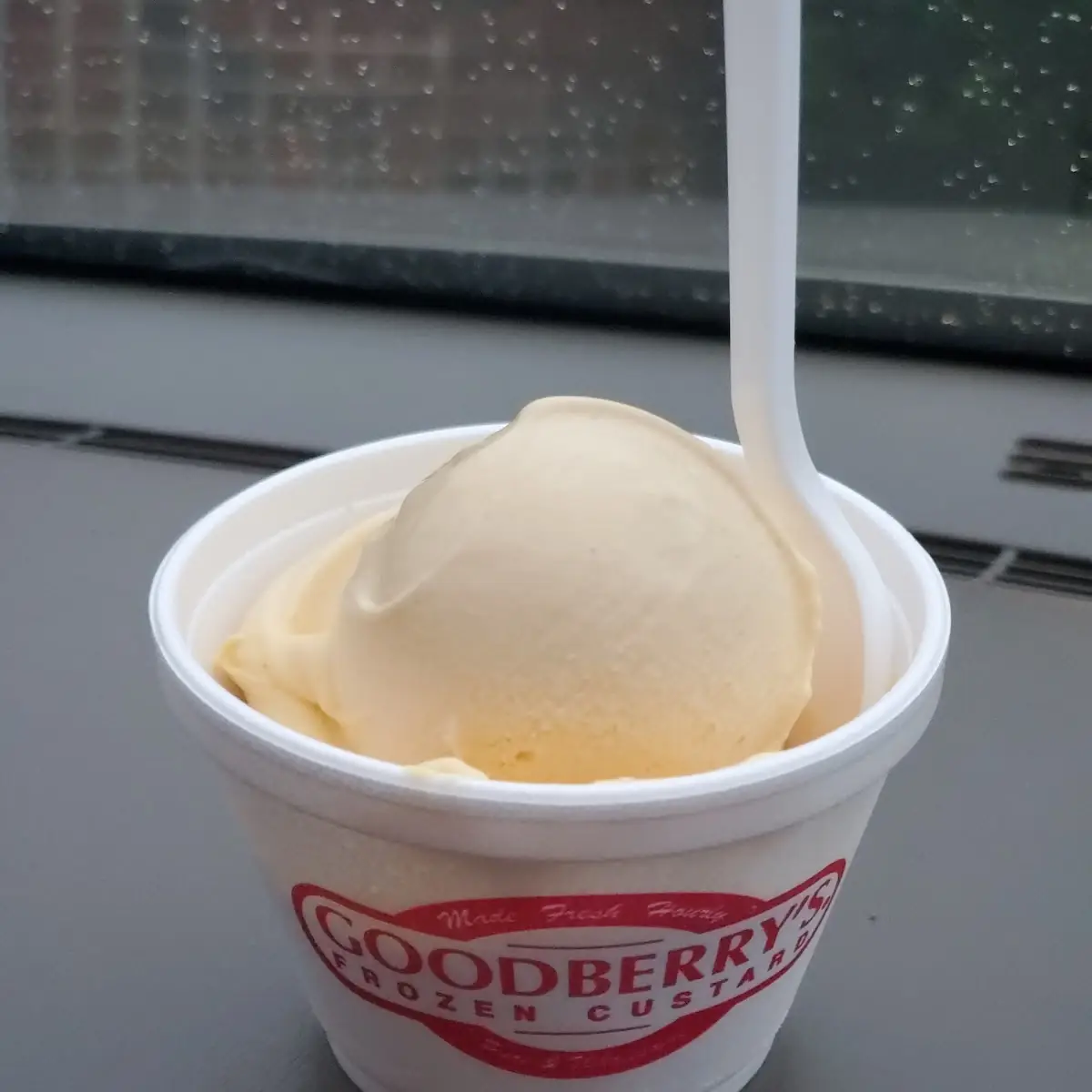 Frozen Custard Ple