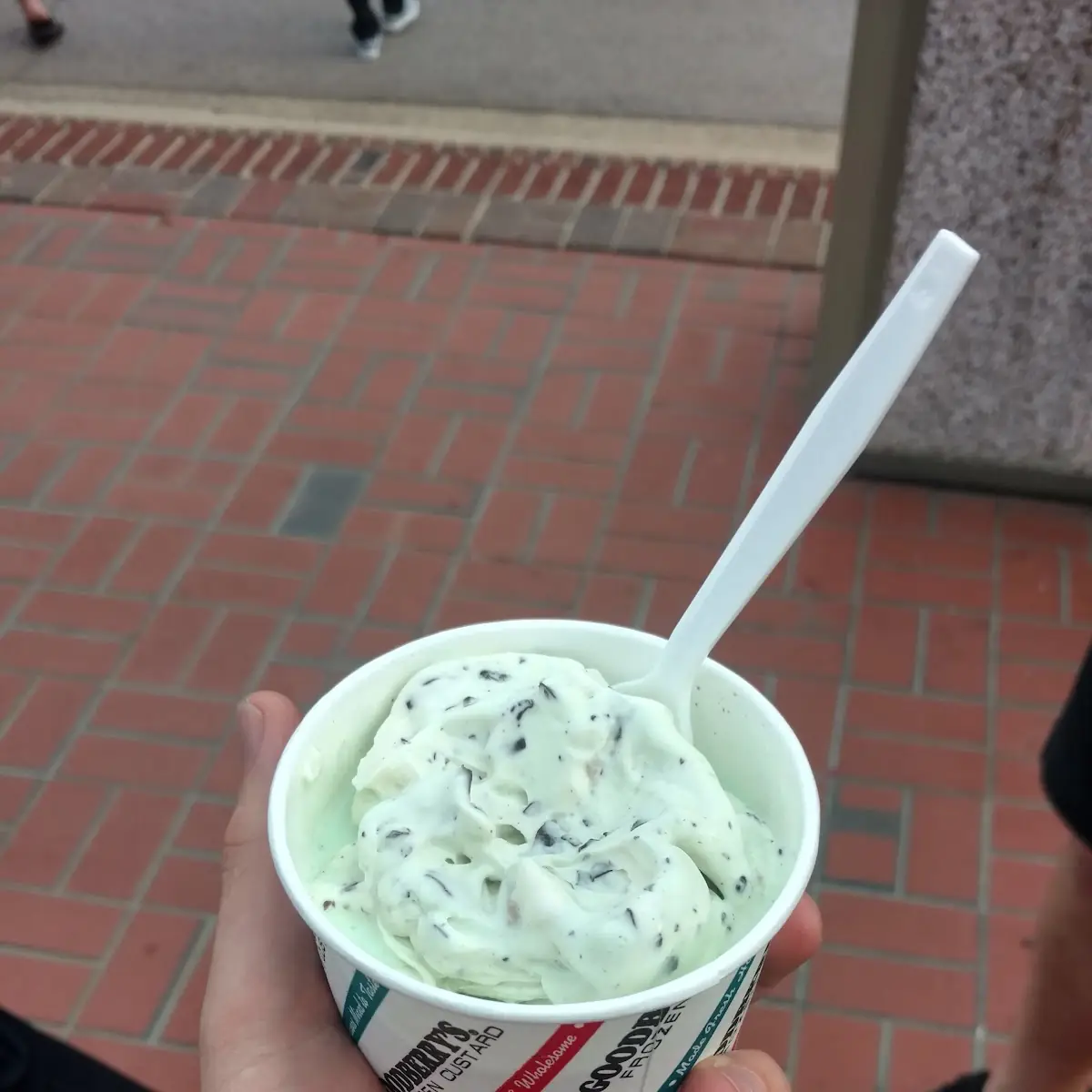 Mint Chocolate Chip Cookie Dough