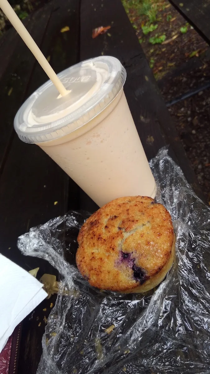 Blueberry Muffin
