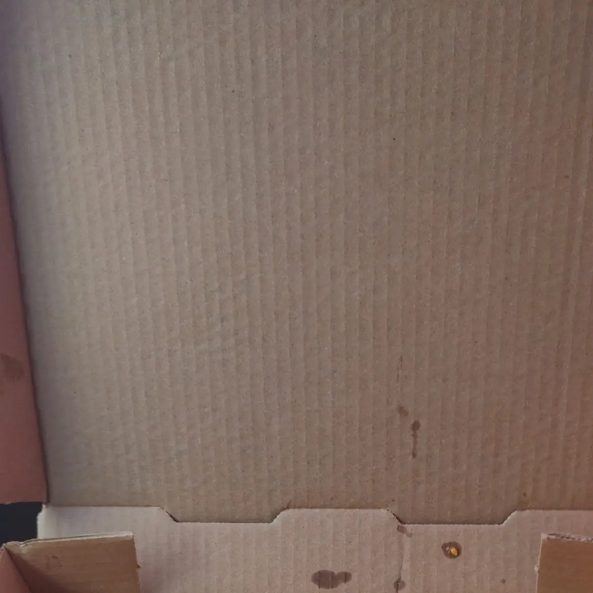 The Everything Pizza