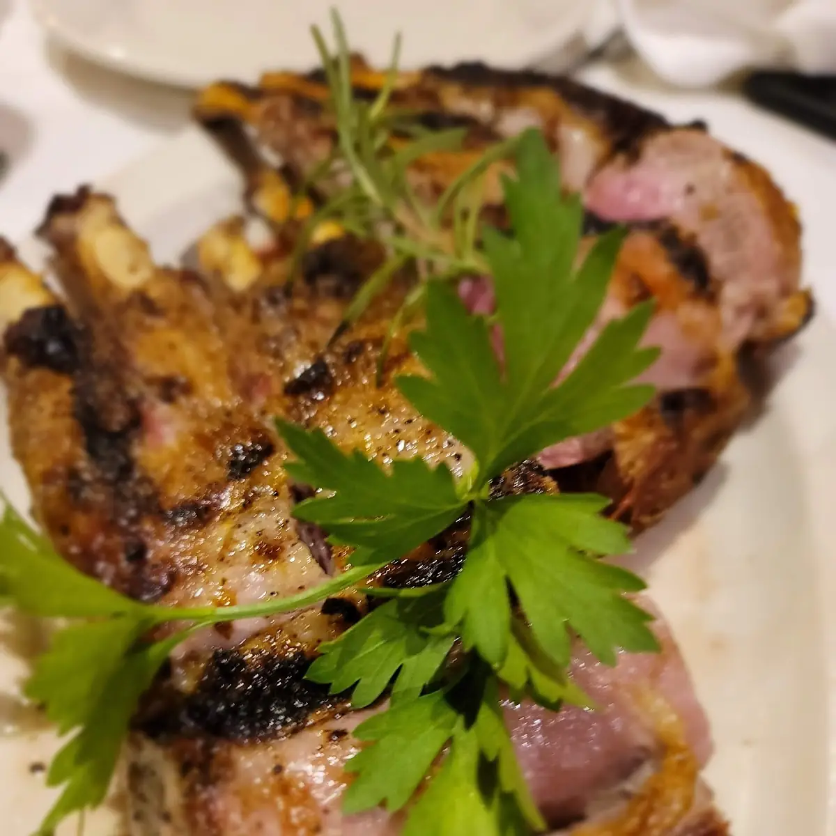 Lamb Chops