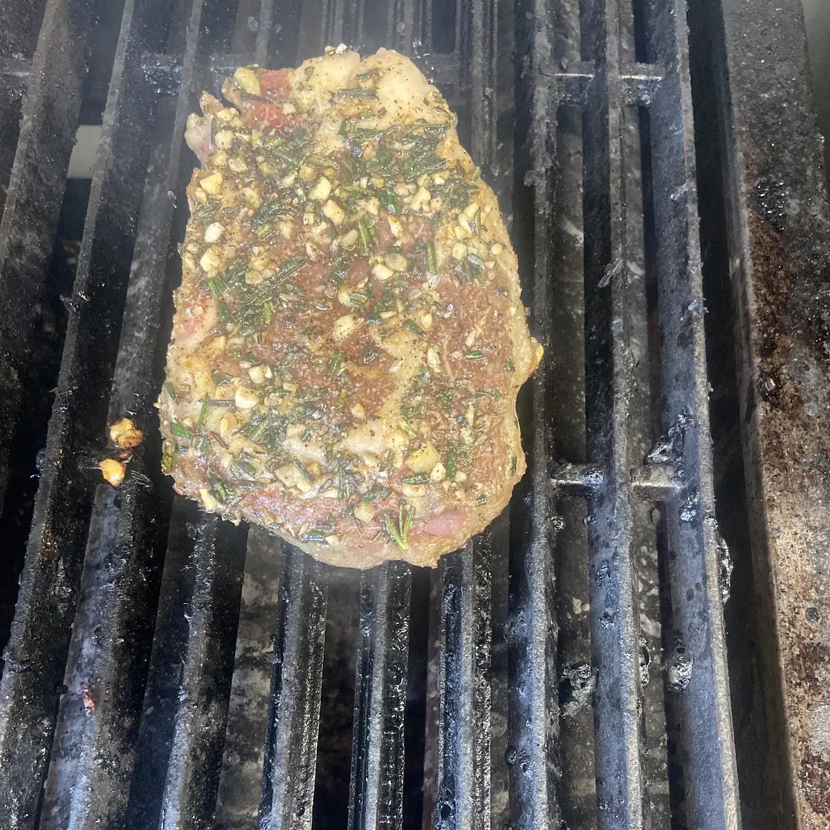 Grilled Rib Eye