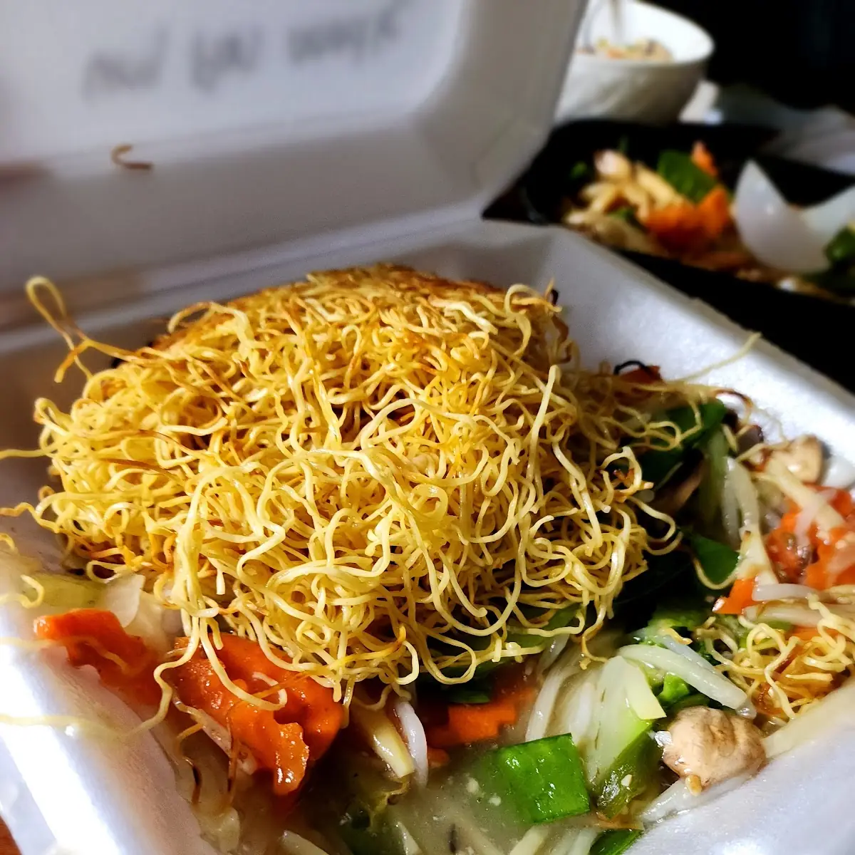 House Special Pan Fried Noodle