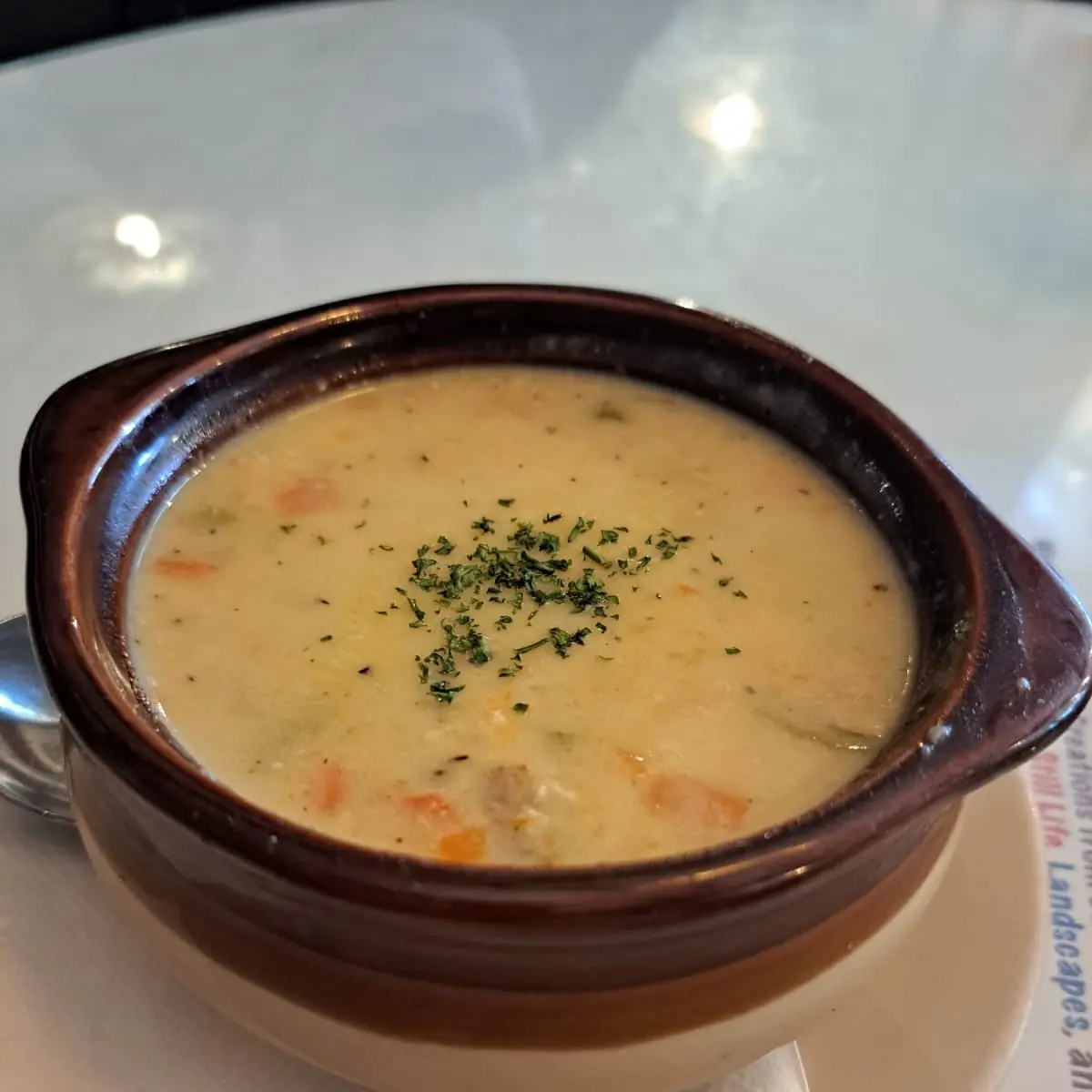 Chicken Vegetable Soup