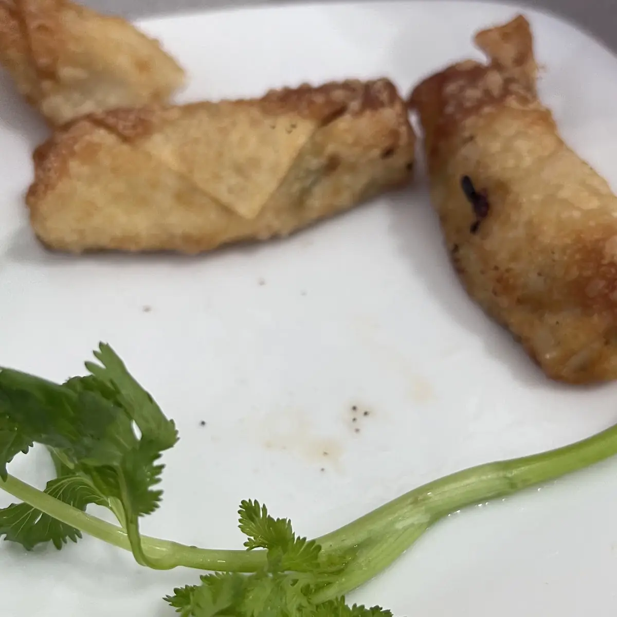 Cream Cheese Egg Roll