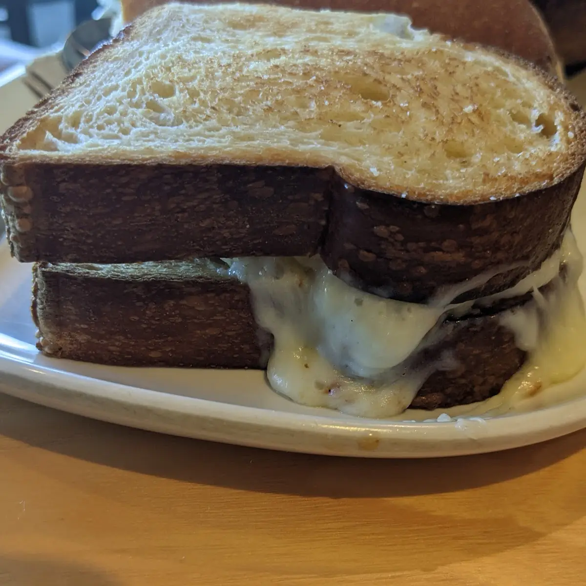 Toasted Steak & White Cheddar