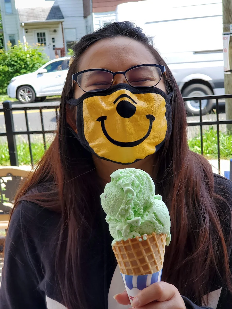 Mint Chocolate Chip Ice Cream
