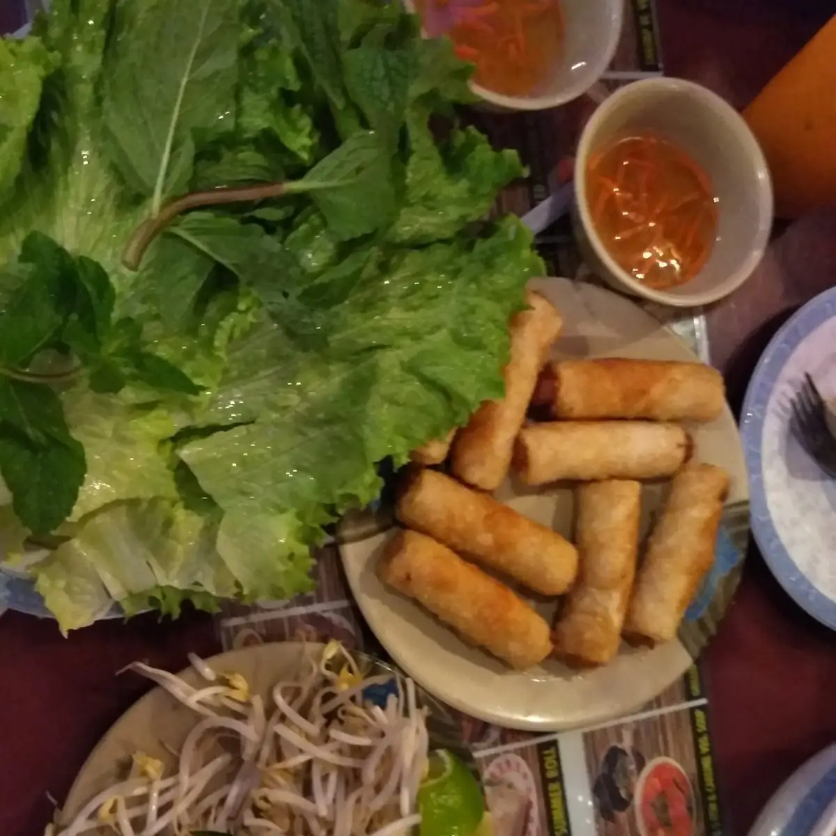 Vietnamese Spring Roll