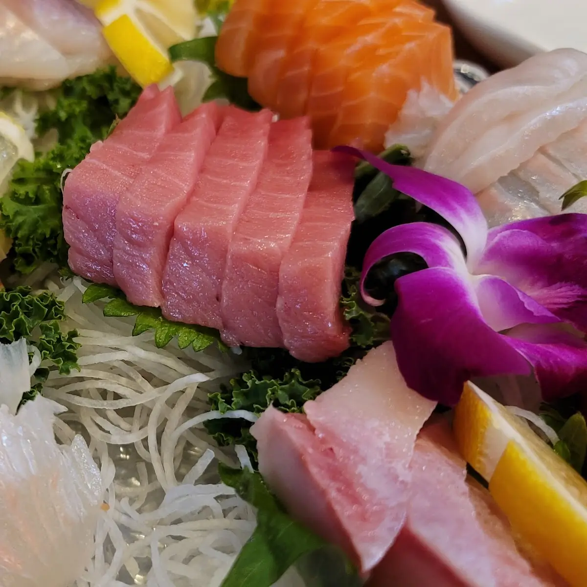 Live Fish Assorted Sashimi Combo