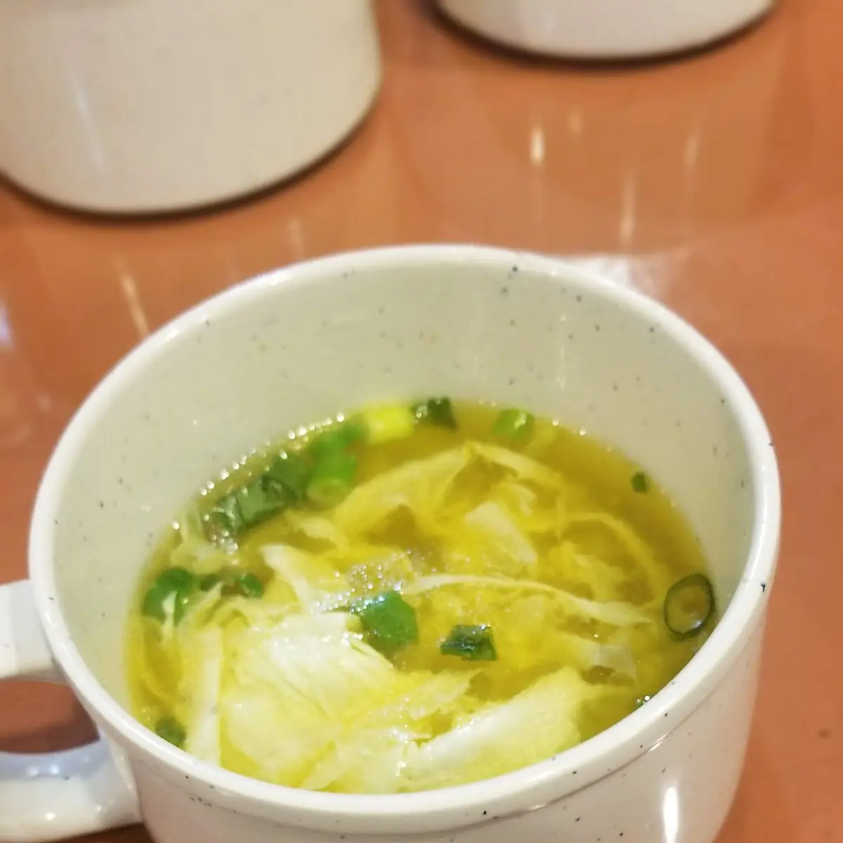 Wonton Soup L