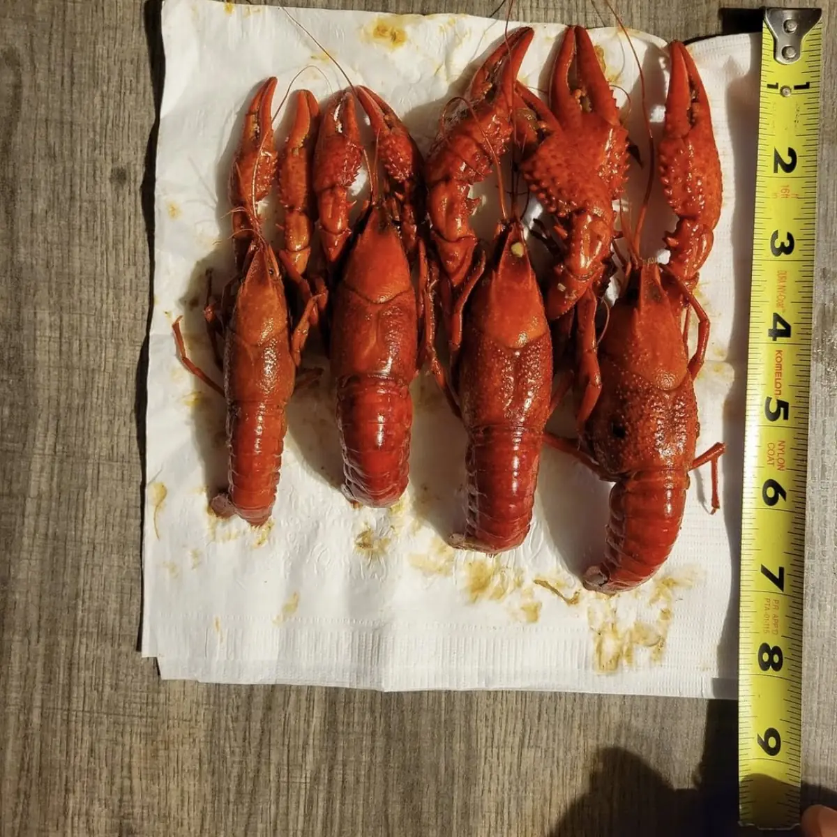 Boiled Crawfish