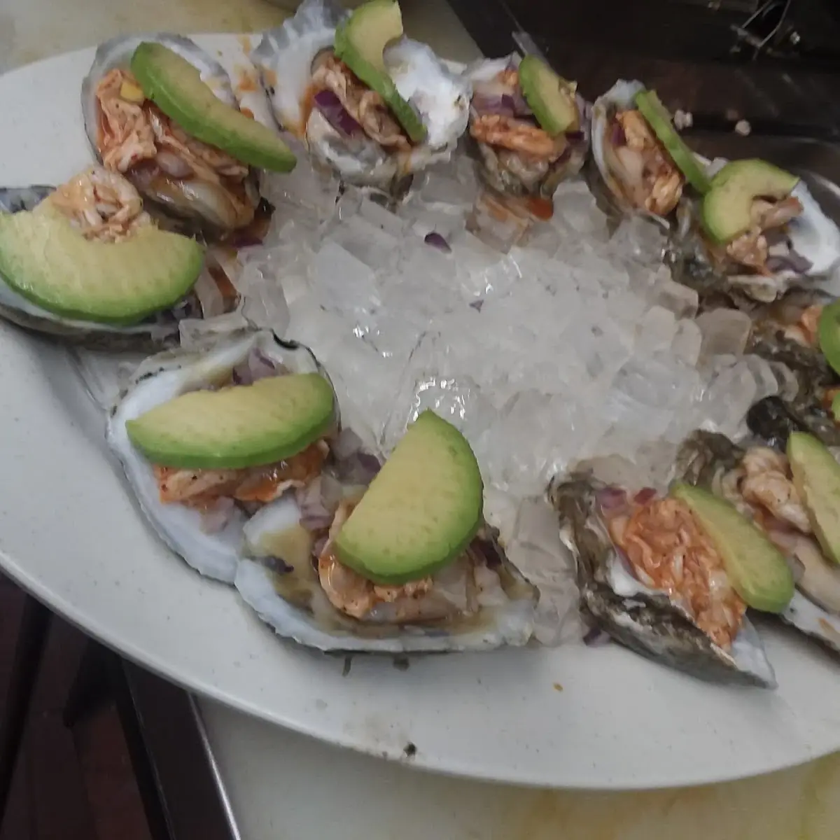 Dozen Ostiones En Su Concha