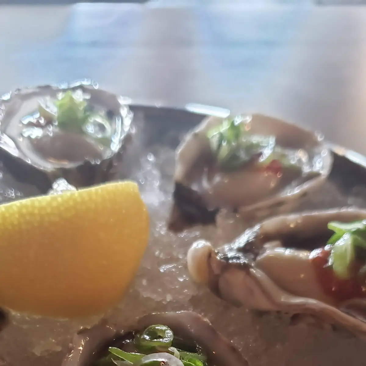 Oysters on the Half Shell