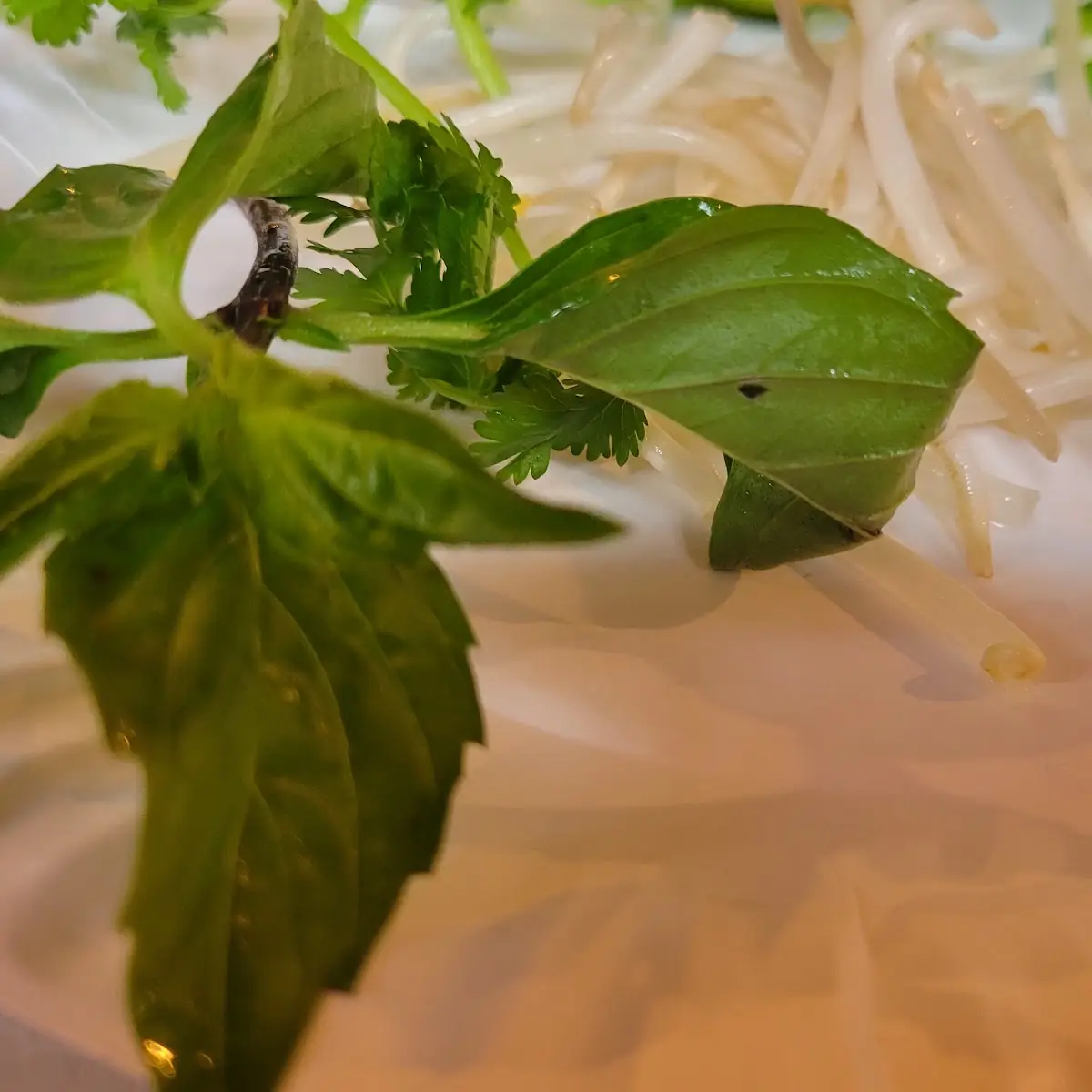 Pho Fixings