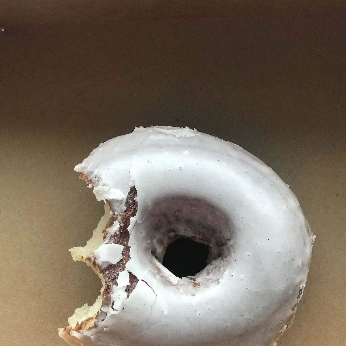 Vanilla Bean Donut