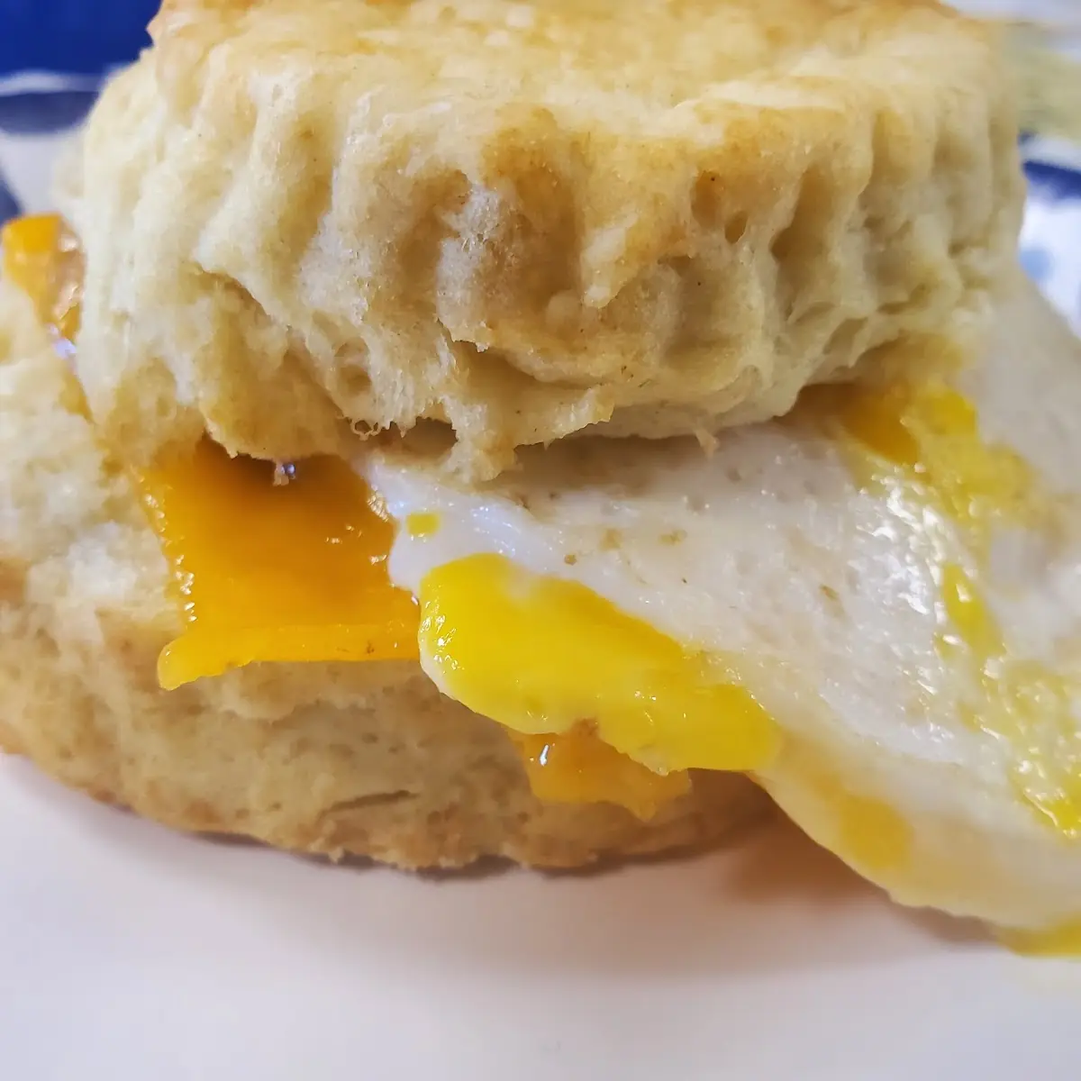 Sausage Egg and Cheese Biscuits