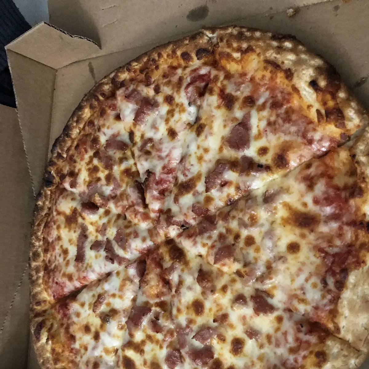 Meat Pizza