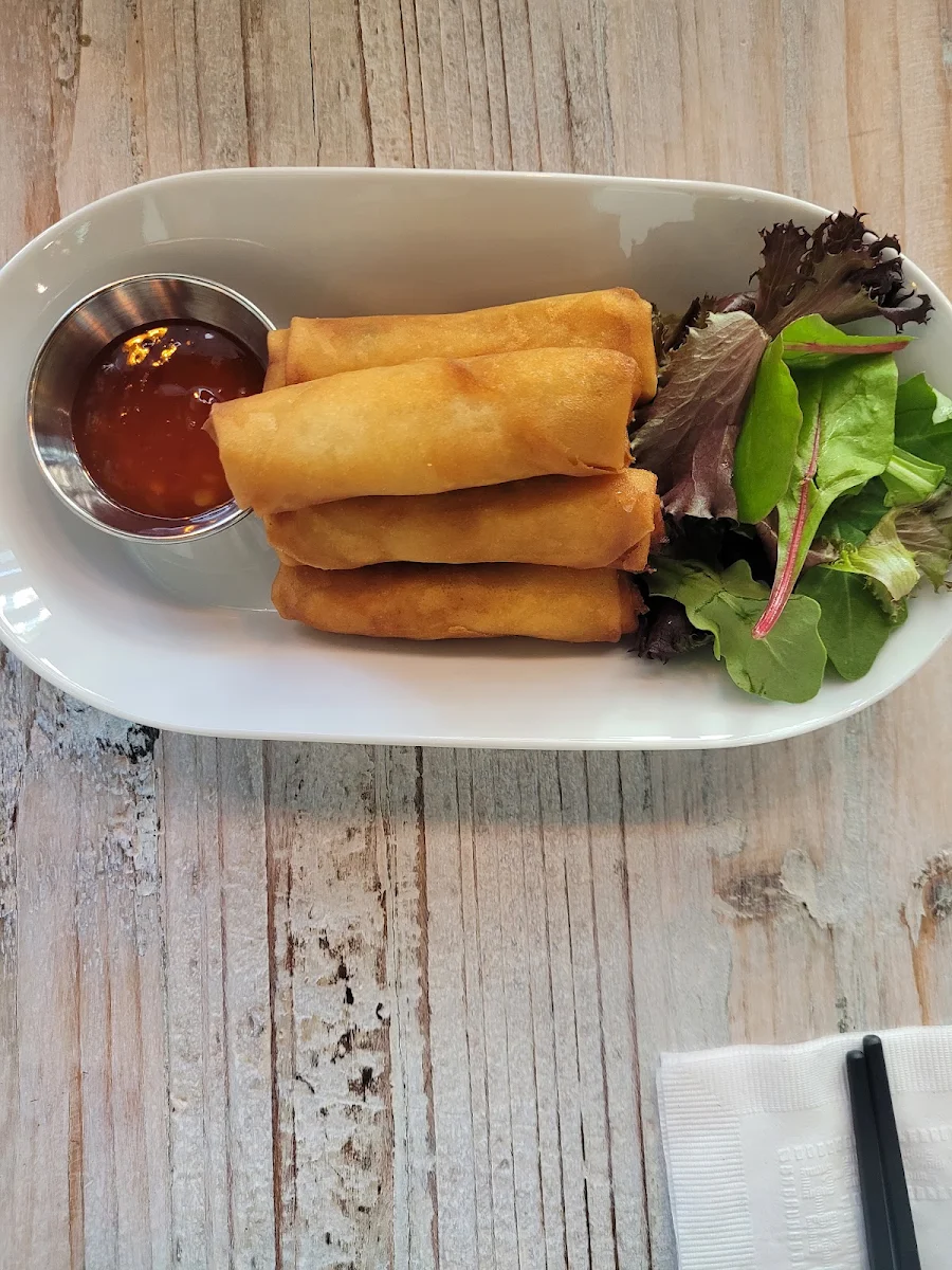 Veg Spring Roll