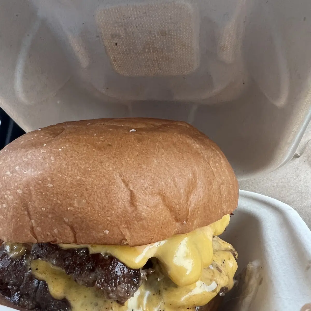 Double Cheeseburger