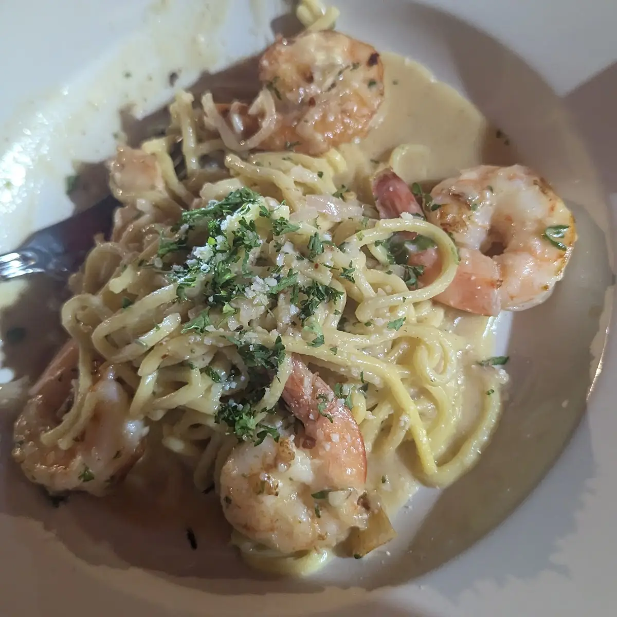 Shrimp Alfredo