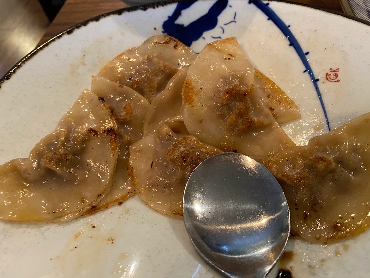 Pan Fried Dumplings