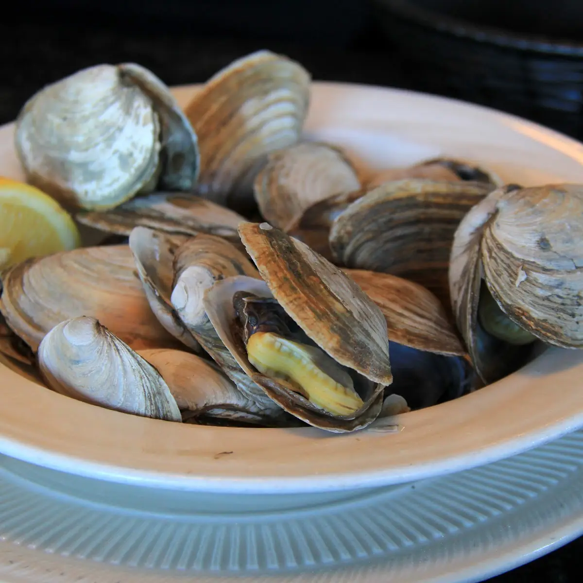 New England Steamed Clams